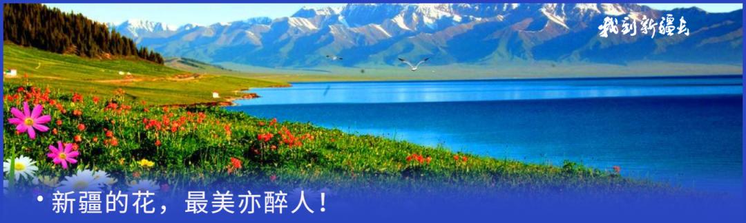 入疆旅游攻略,环疆旅游攻略大全