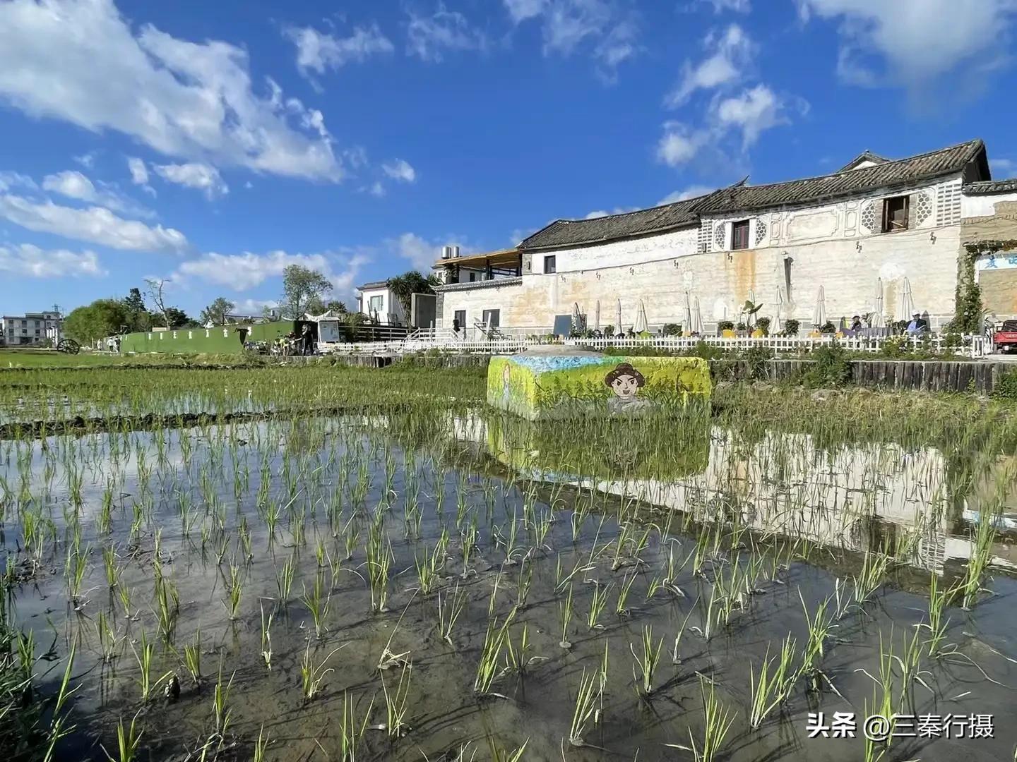 大理洱海拍照攻略,大理环洱海电动车攻略