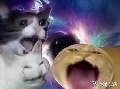 如何好好说话掌握说话技巧,日常各种经典场合的说话技巧