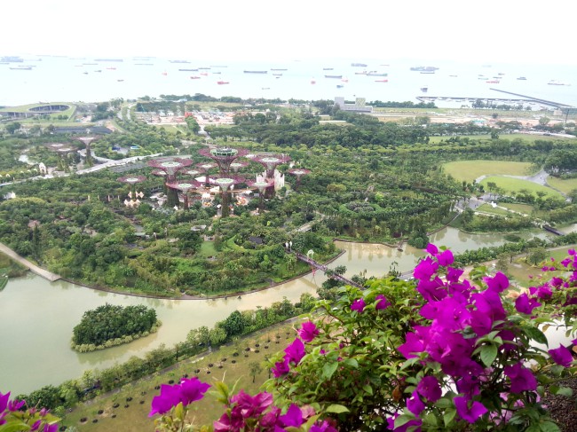 新加坡艺术类留学,新加坡留学毕业率