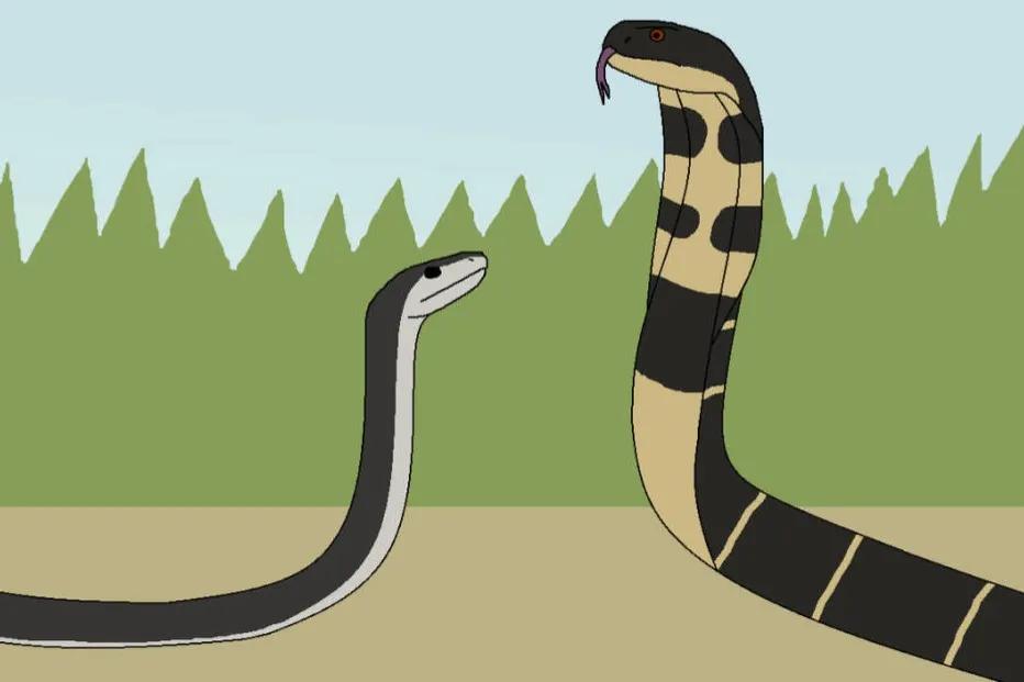 21岁男子上山采药被五步蛇咬伤,湖南21岁男子上山采药被蛇咬伤