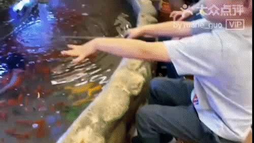 最适合遛娃的亲子乐园,春节遛娃好去处人气儿童乐园推荐