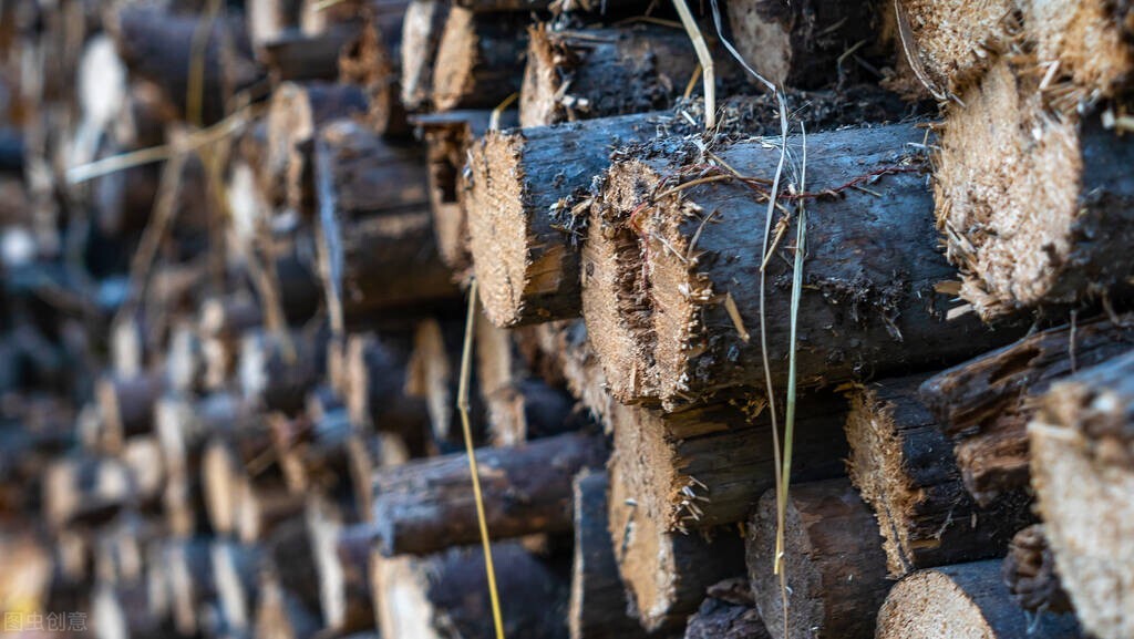 农村被骗的几个方式,农民被骗的十大套路