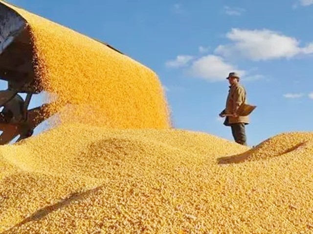 美国无法阻止中国的崛起,美国难以超越吗