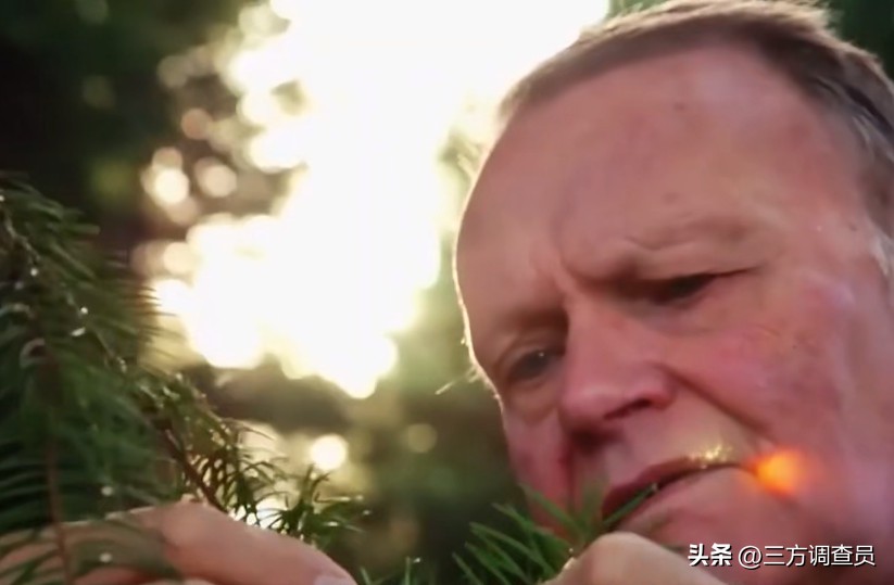 他走进一家算命铺子，就稀里糊涂的少了1600万！美国旧案回顾