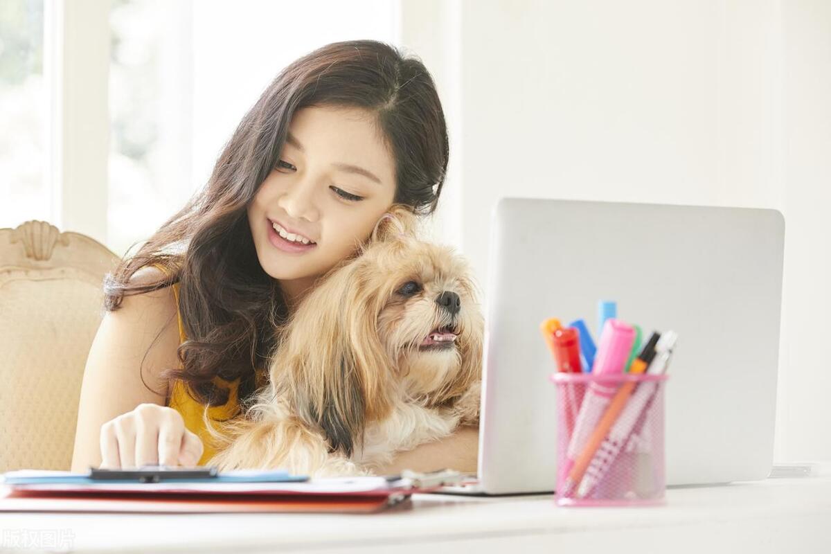 狗好养吗,狗好养还是男孩好养