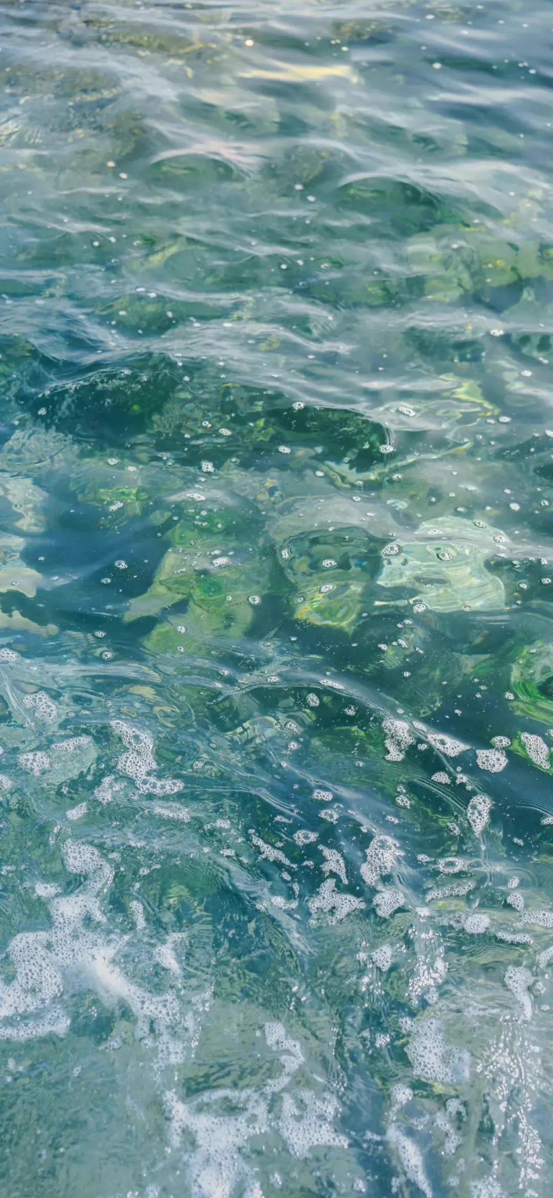 夏季清新凉快的壁纸高清,夏天一看就很凉爽的壁纸