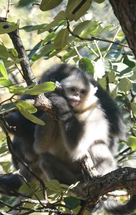 夫妻带5岁儿子环游世界,小夫妻带5岁孩子旅游边走边看