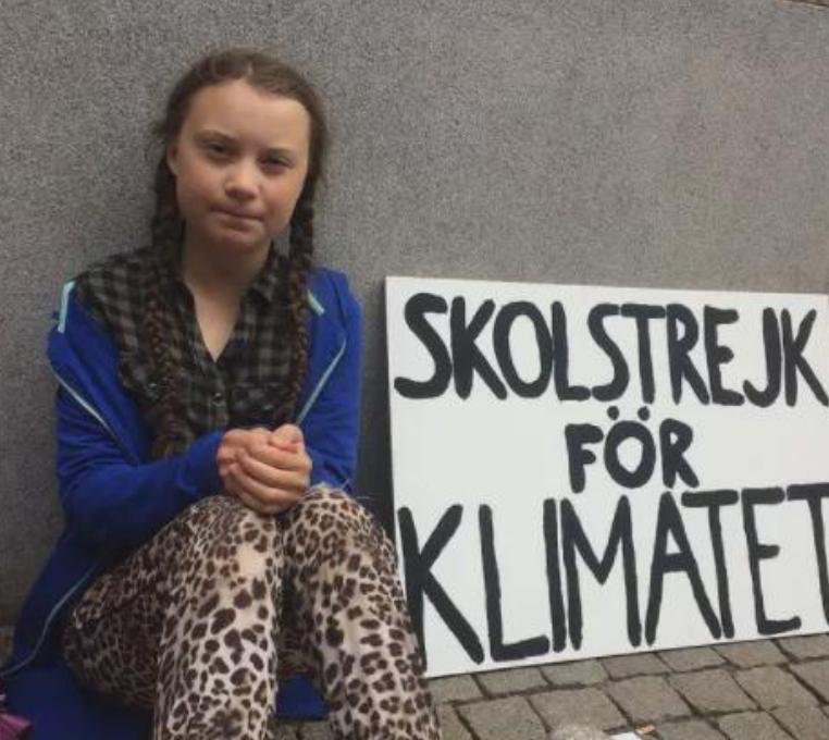 环保少女格蕾塔批判结果,瑞典环保少女格蕾塔桑伯格演讲
