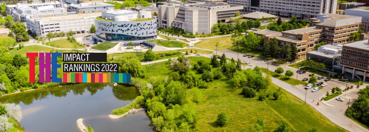 多伦多留学生日常,多伦多留学生的日常