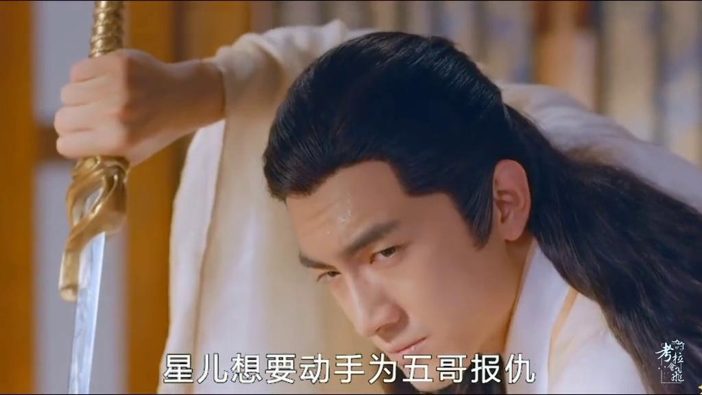 星儿竟然要杀了他最爱的公子,星儿认为玥公子杀了她哥哥