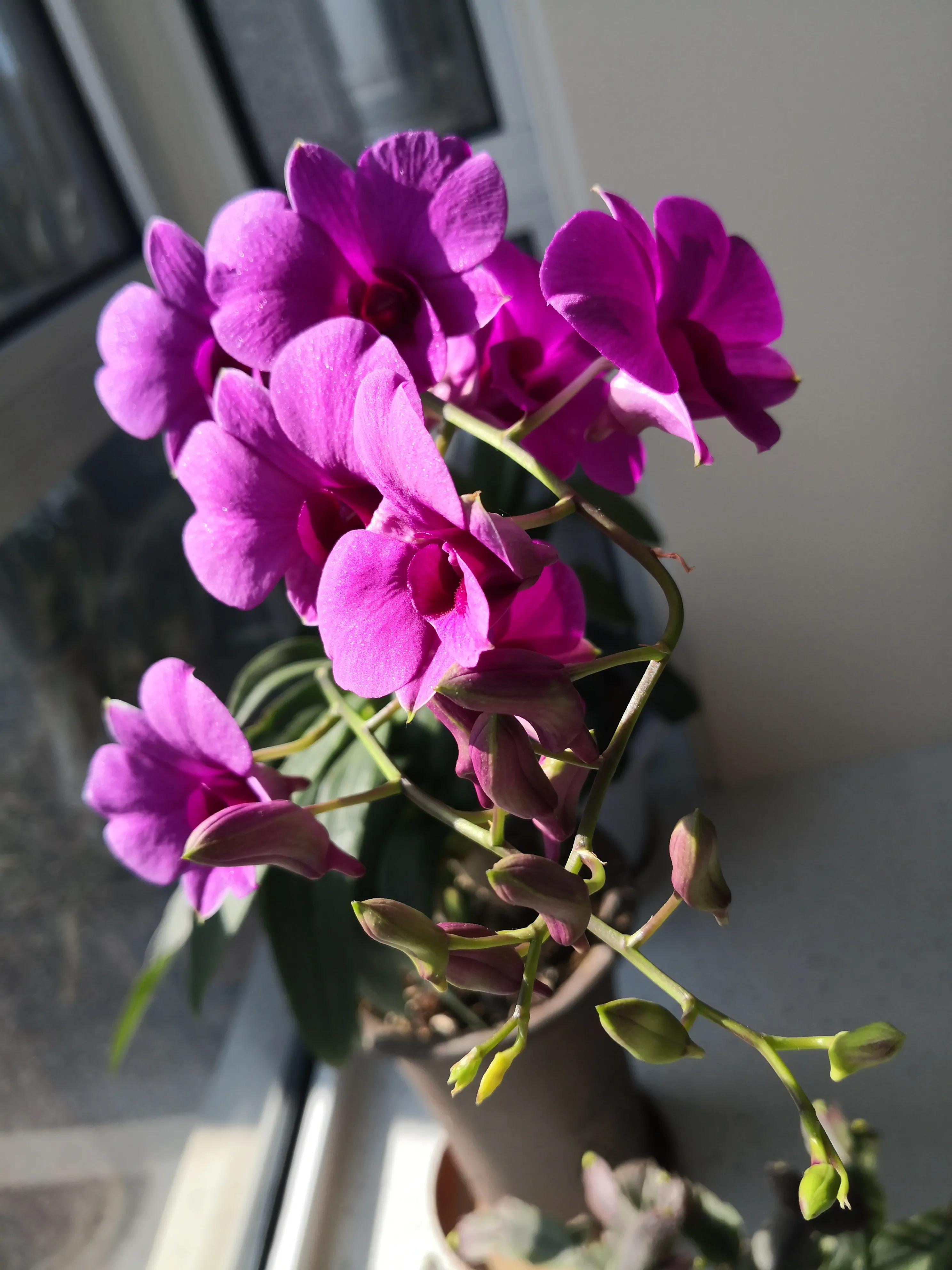 中国足球十大丑闻事件,中国足球十四五