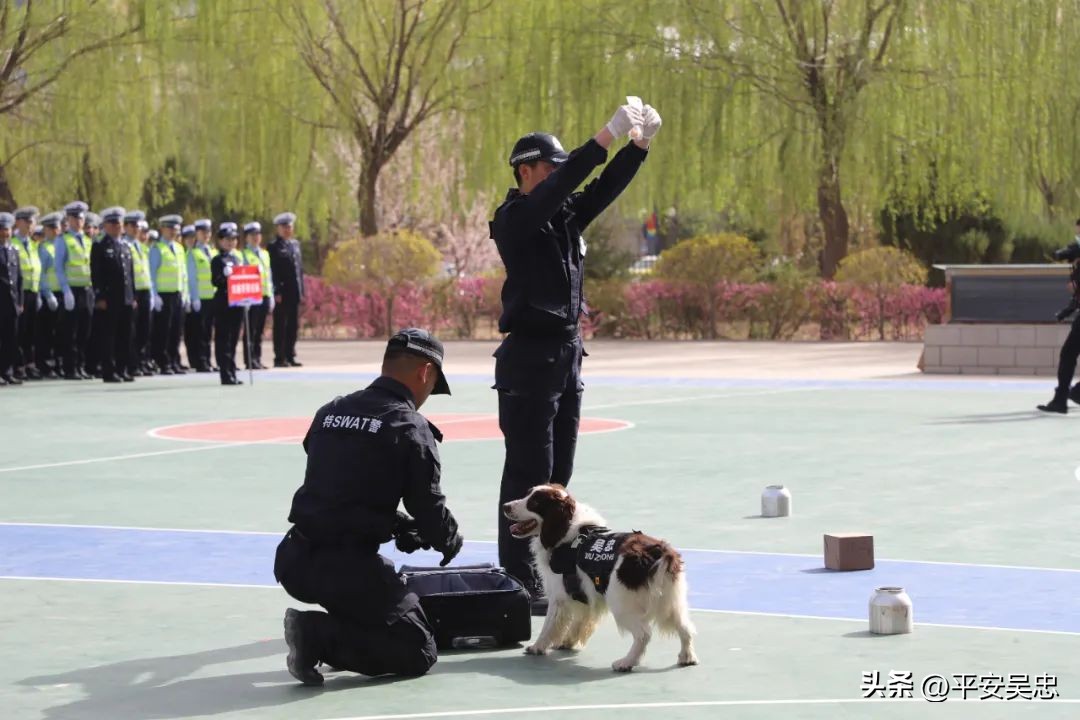 新疆公安警体运动会,博州公安警体运动会