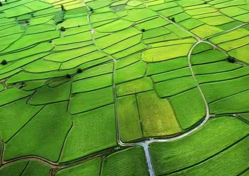 农业扶贫的正确方式,农业技术方面对扶贫的帮助