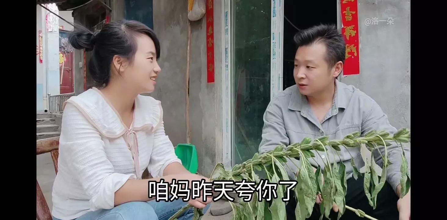 子奇妈给一朵钱买衣服，结果一朵买了化肥