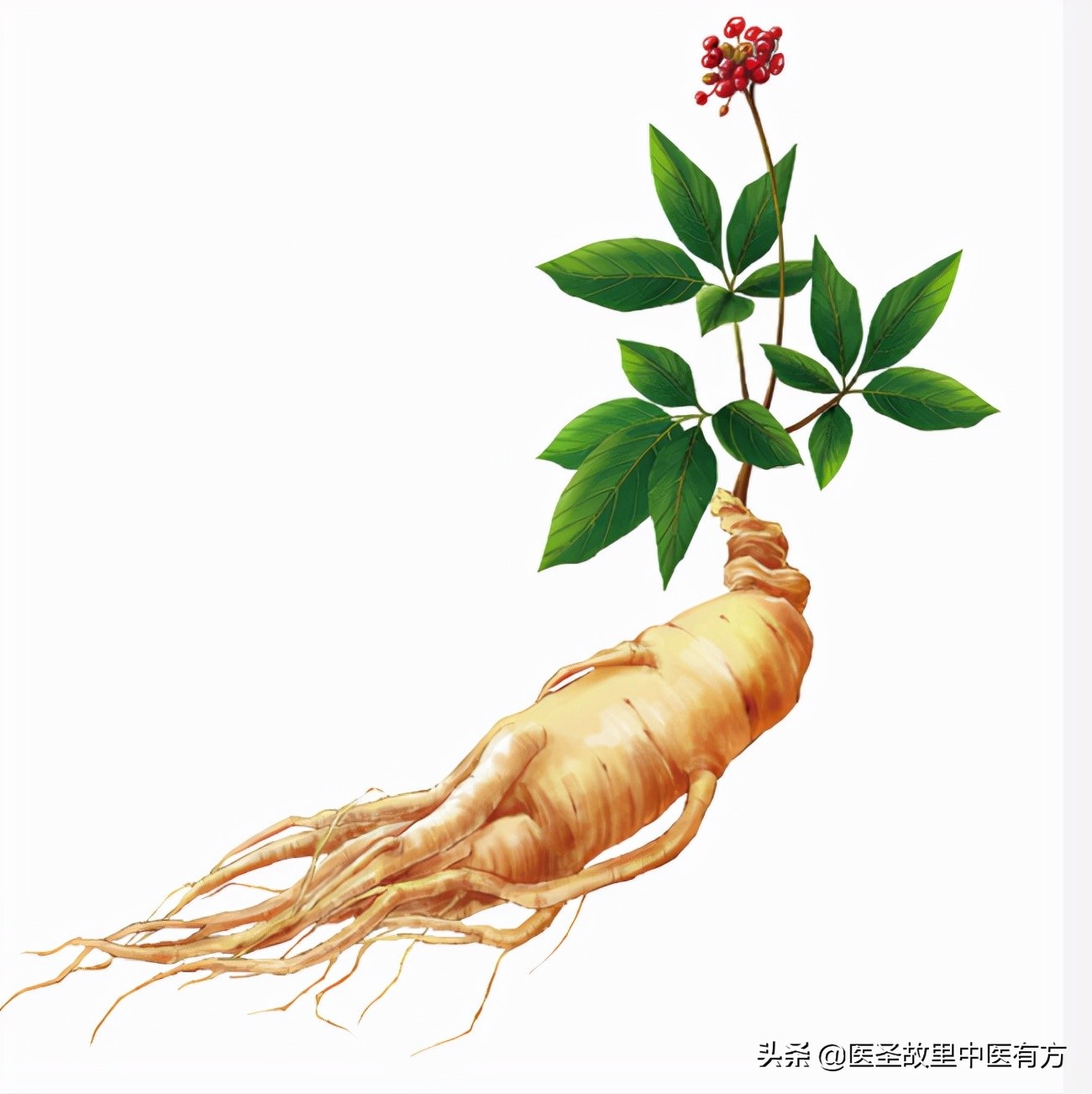 中医内科胃痛脾胃虚弱用什么方子,脾胃好百病消神曲