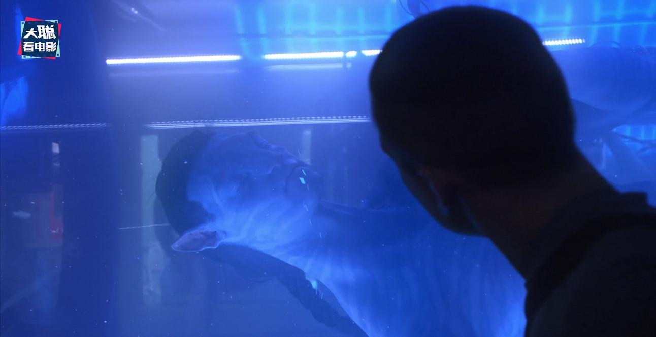 阿凡达解密,阿凡达2详细攻略大全