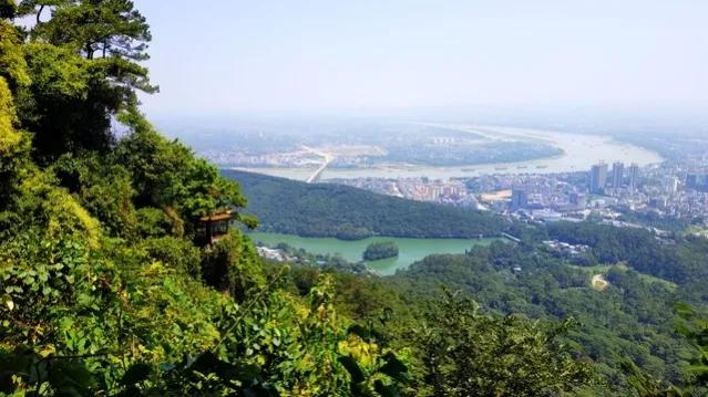 广西桂平市面积和人口有多少,广西桂平如今的发展