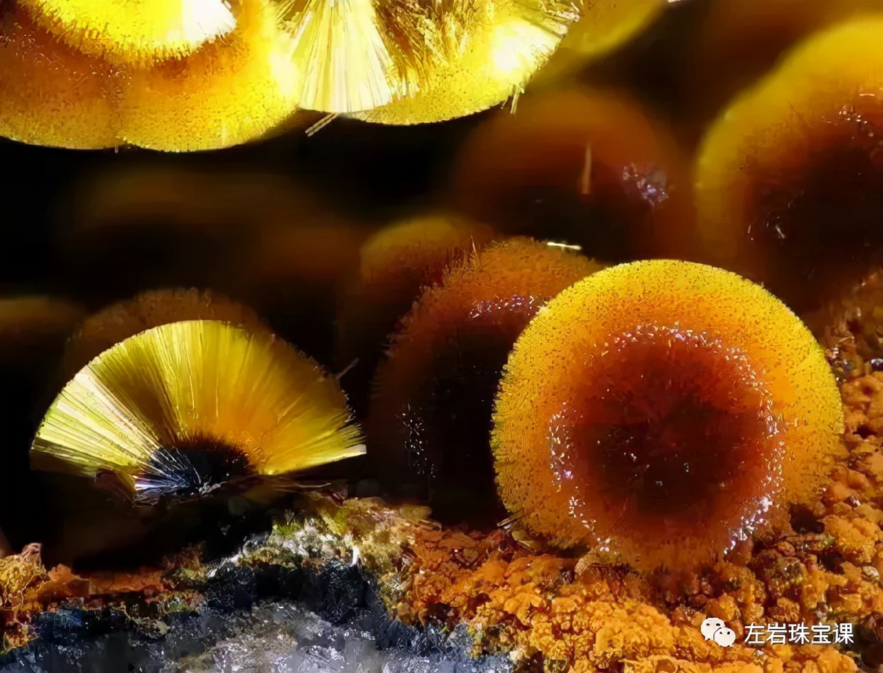 左岩的简介,左岩的最新图片