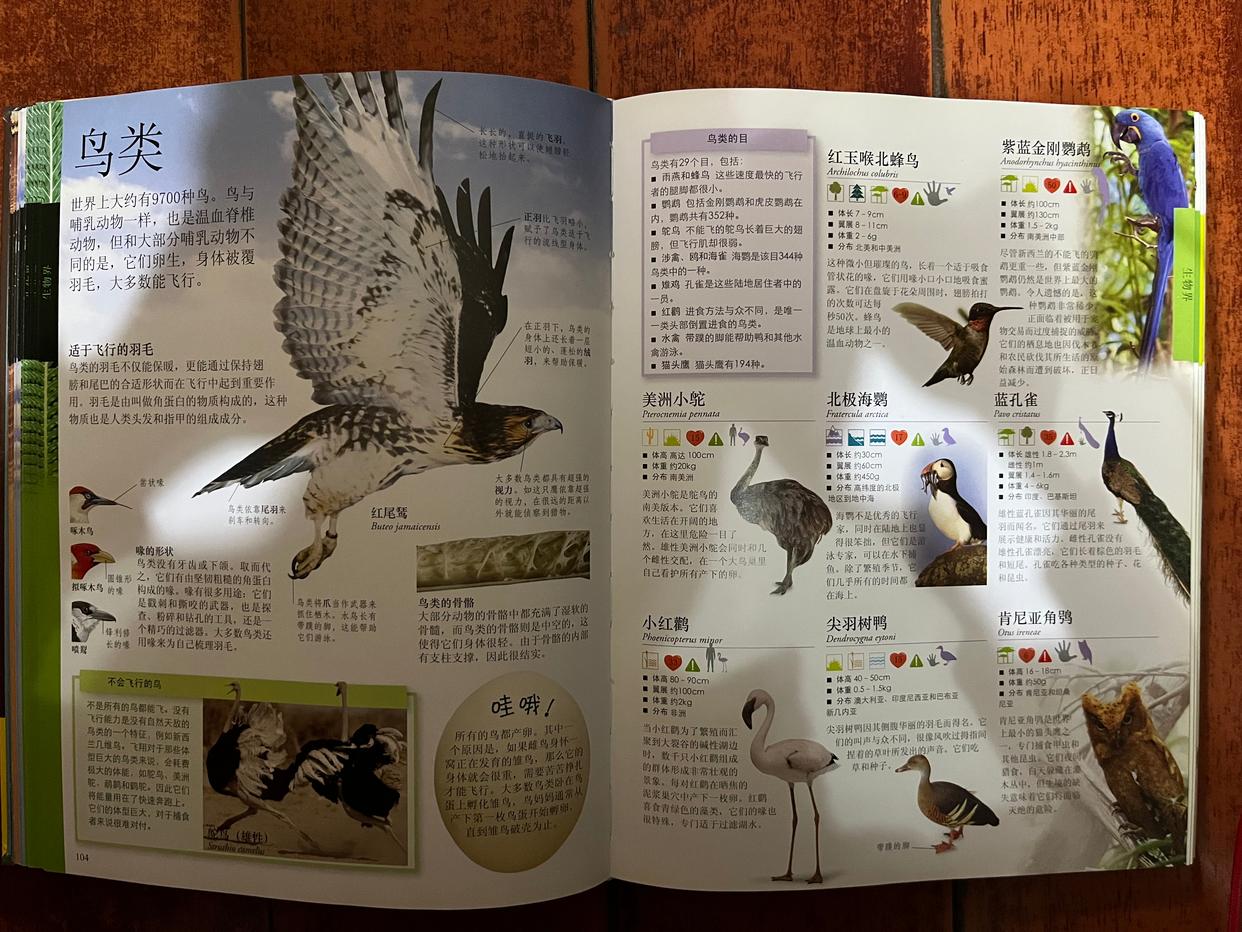 dk儿童百科全书9本套,dk儿童百科全书全套动画怎么获得