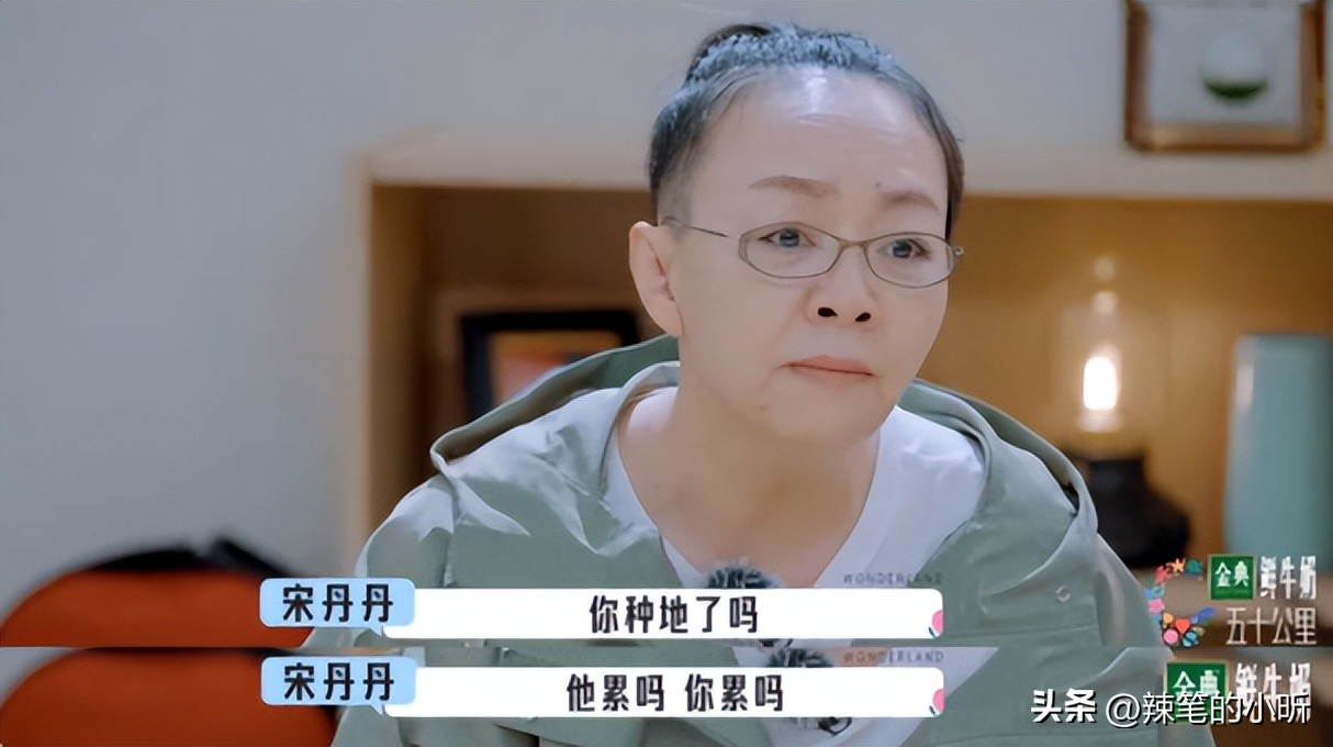 宋丹丹到底有多强势,宋丹丹到底有多幽默