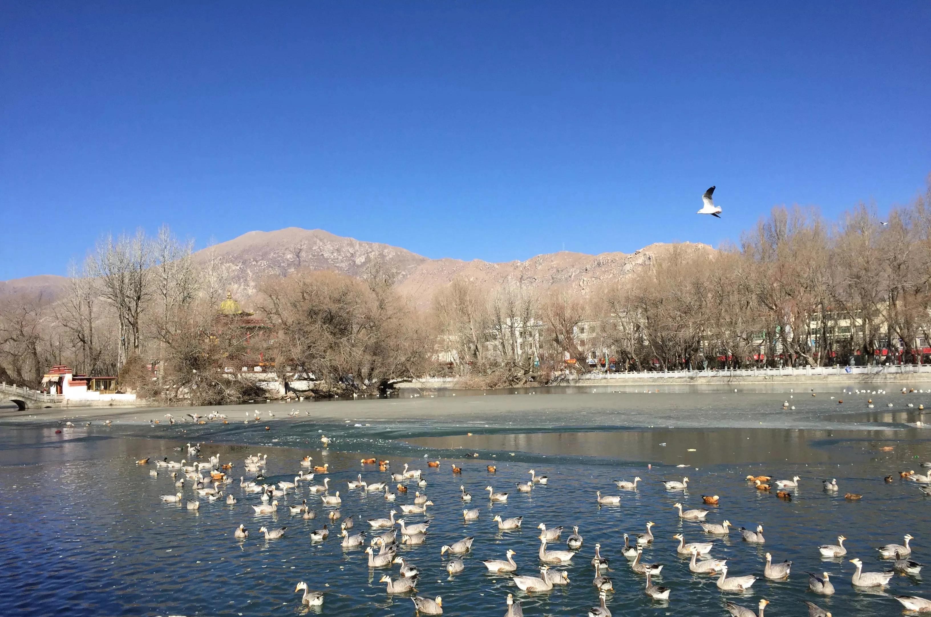 西藏无人区旅游攻略,2021西藏必火的7个旅行地此生必去