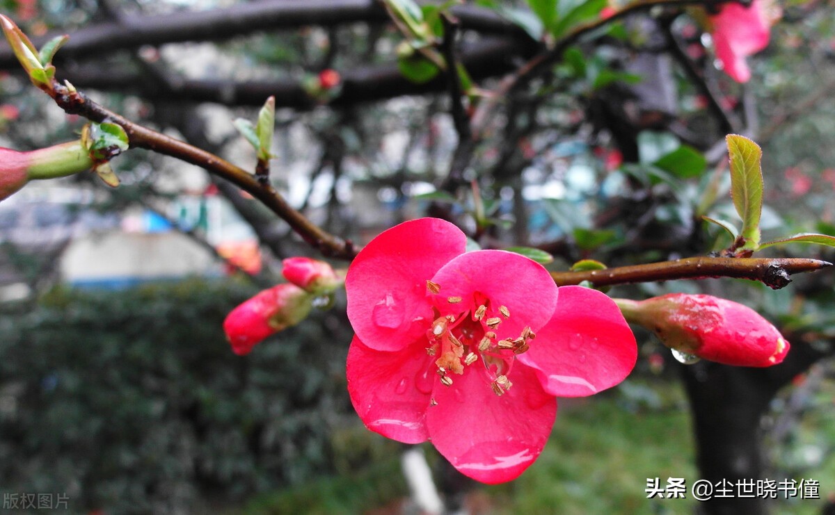 一首经典的哲理词！每一句都是至理名言，值得我们细细品读