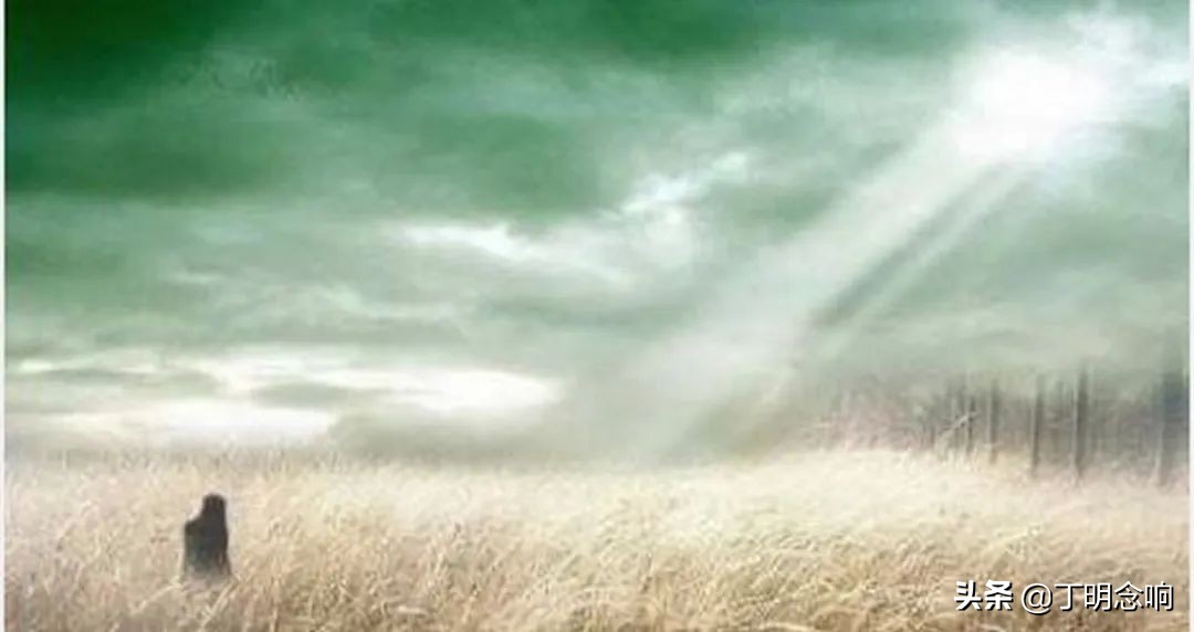 权力与荣耀的关系,权力与荣耀属性