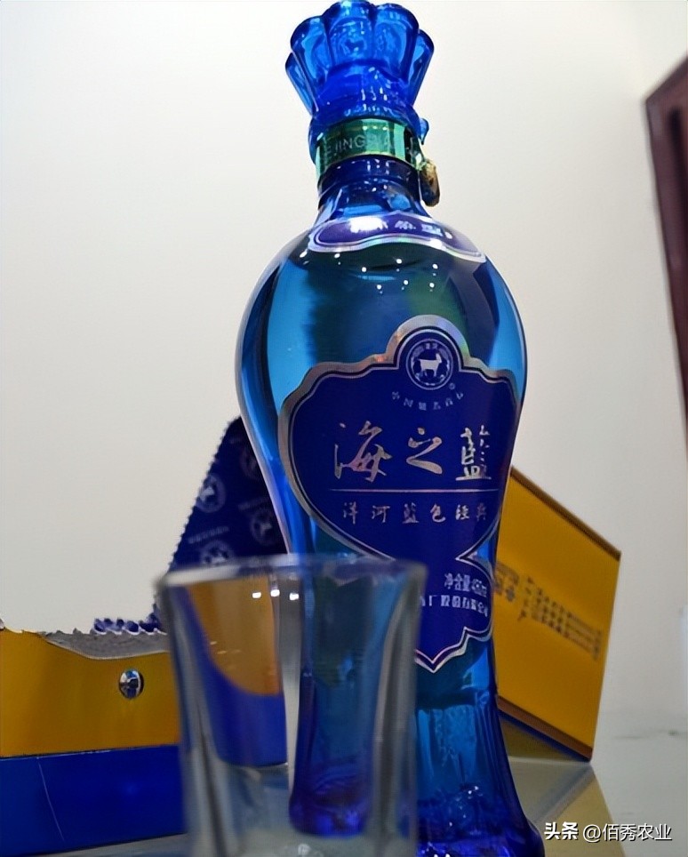 洋河天之蓝梦之蓝海之蓝怎么区分,洋河酒梦之蓝和海之蓝天之蓝区别