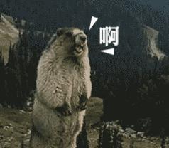 无线网桥怎么选,怎样选择无线网桥