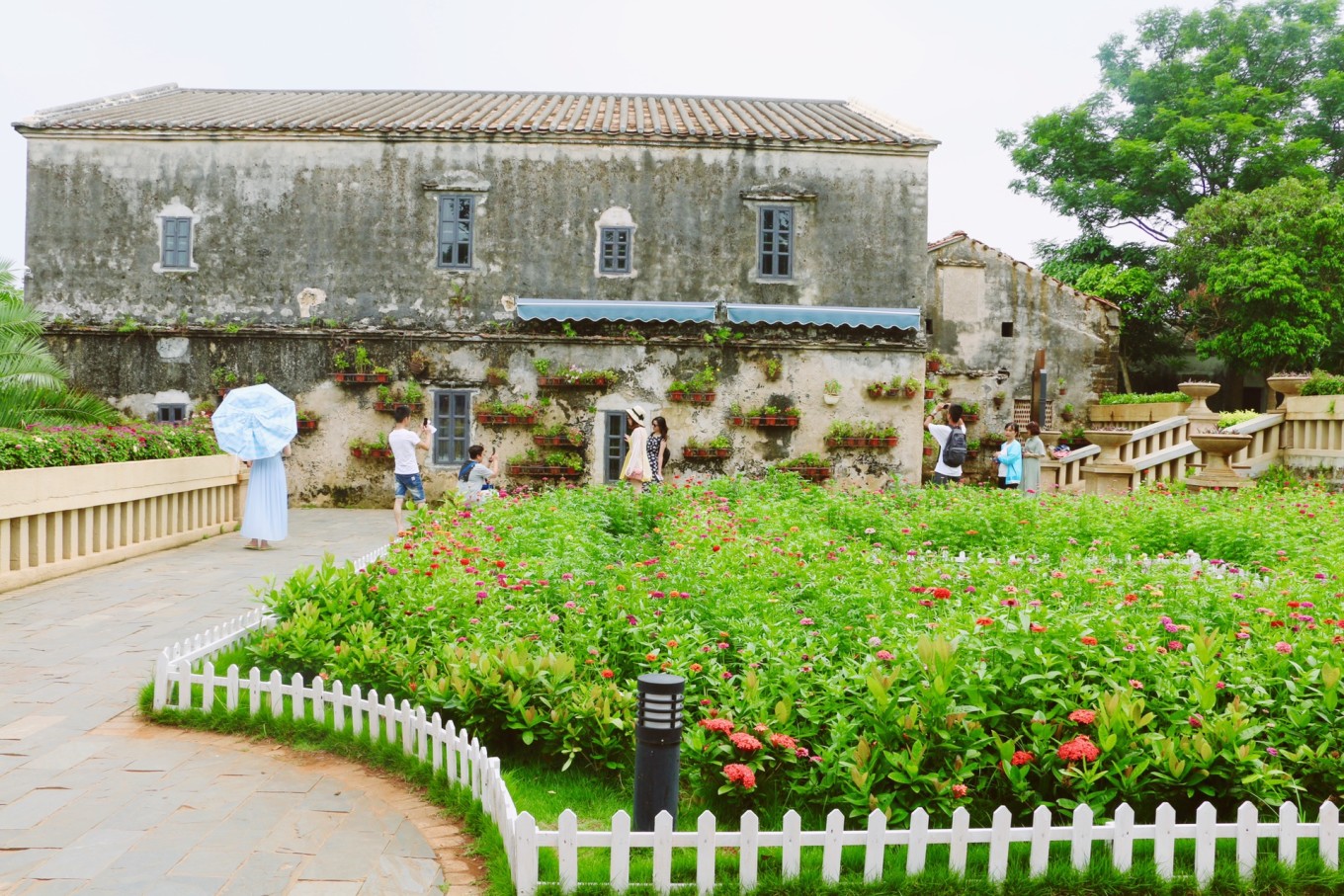 北海涠洲岛旅游最全攻略,广西北海涠洲岛绝美照片