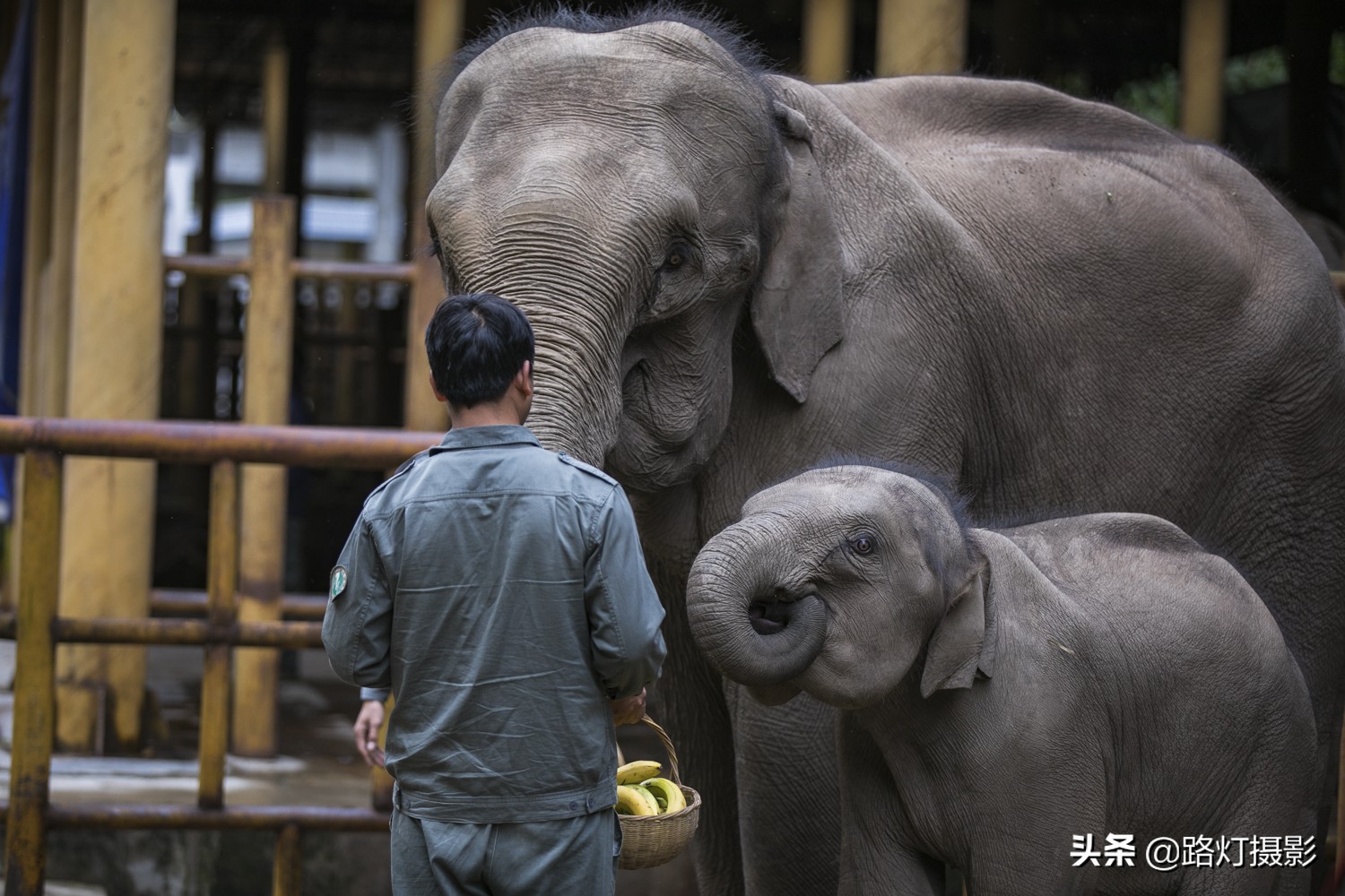 中国适合冬季避寒的地方,这才是国内避寒的七座安逸城市