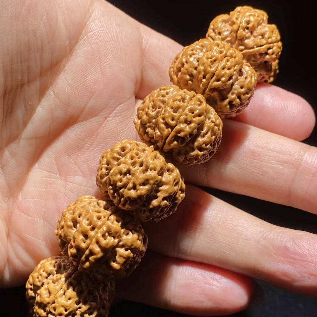 冬天金刚菩提怎么快速上色,金刚菩提上色慢好还是快好