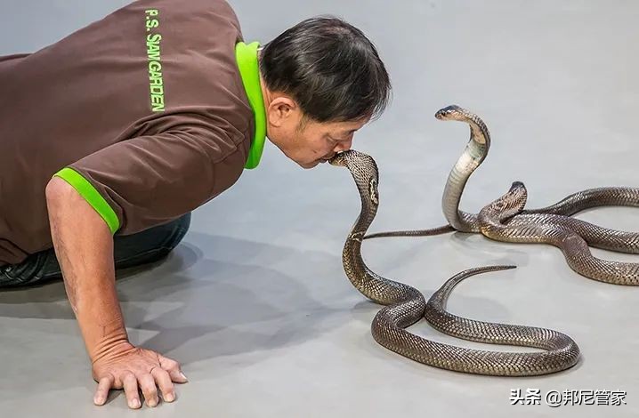 泰国博物馆有什么好玩的,泰国最不可思议的博物馆