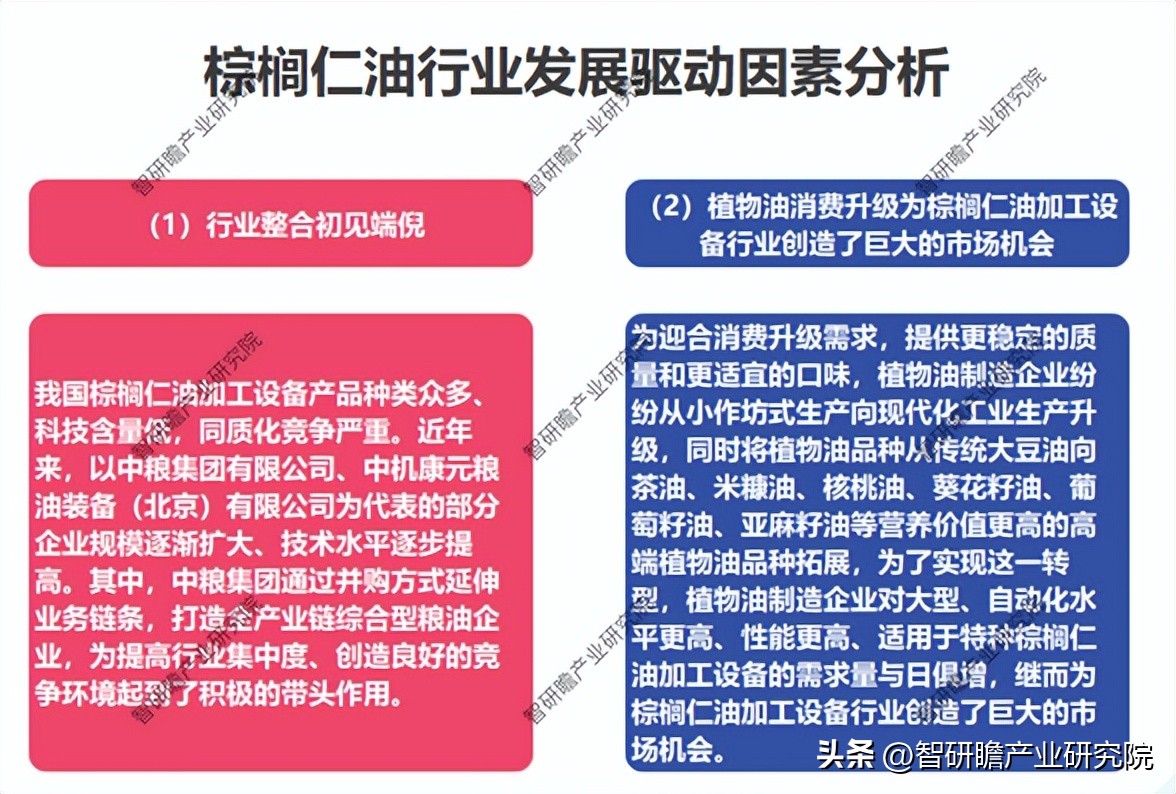 棕榈仁油2024年最新行情,棕榈油的价值和投资前景
