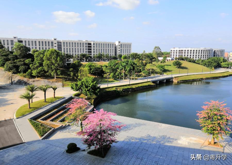 广州科技职业技术大学属于几本,广州科技职业技术大学分数线