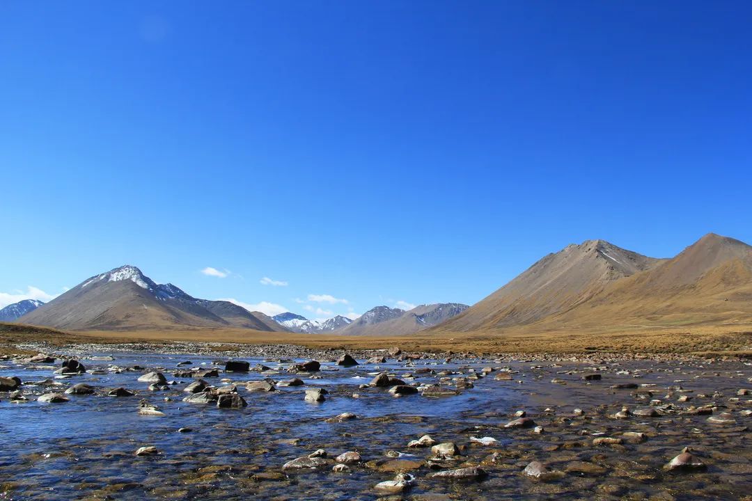 风中传来的气息,风中传来了苦咸的气息
