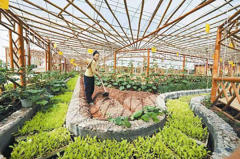 有机农产品更安全,生态有机农业