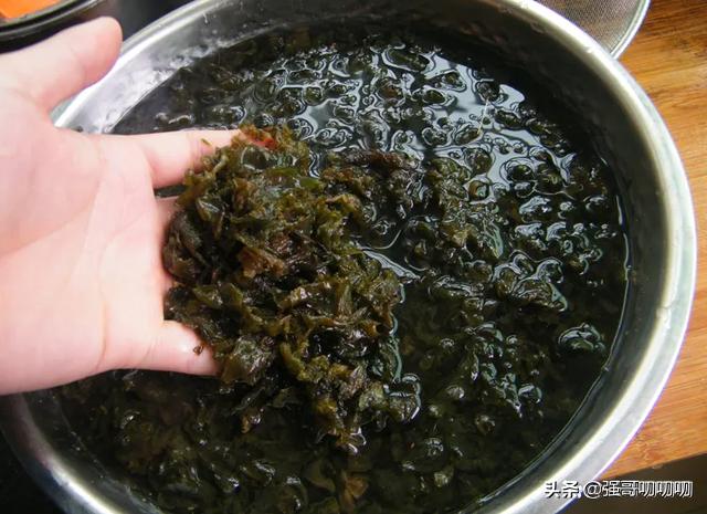 雨后山上的地皮菜学名叫啥,野生地皮菜几月份成熟