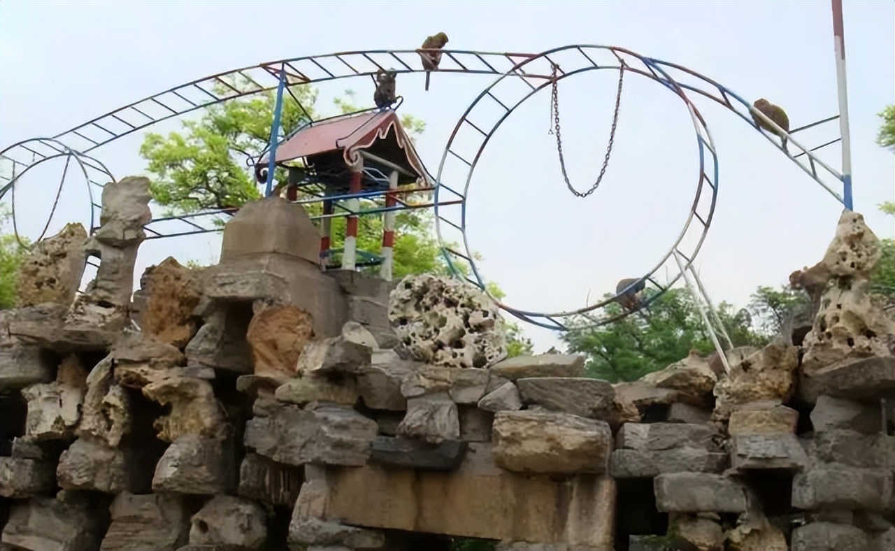 保定踏青哪里最适合自驾游,踏青免费露营保定