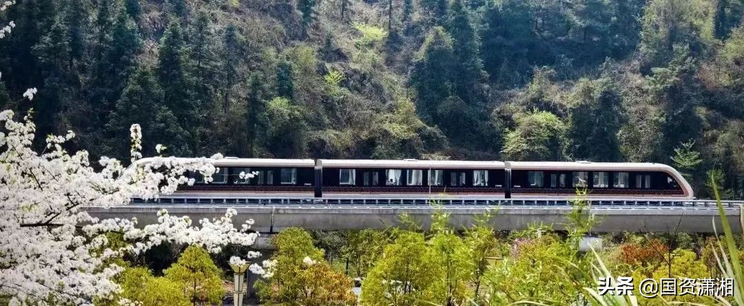 多家省属国企加盟，这个新“朋友圈”将驶上“世界级”轨道