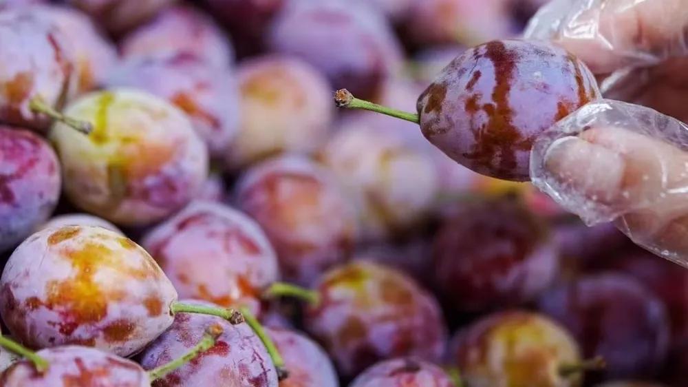 果蔬水果店的经营模式,如何介绍自己开的水果店