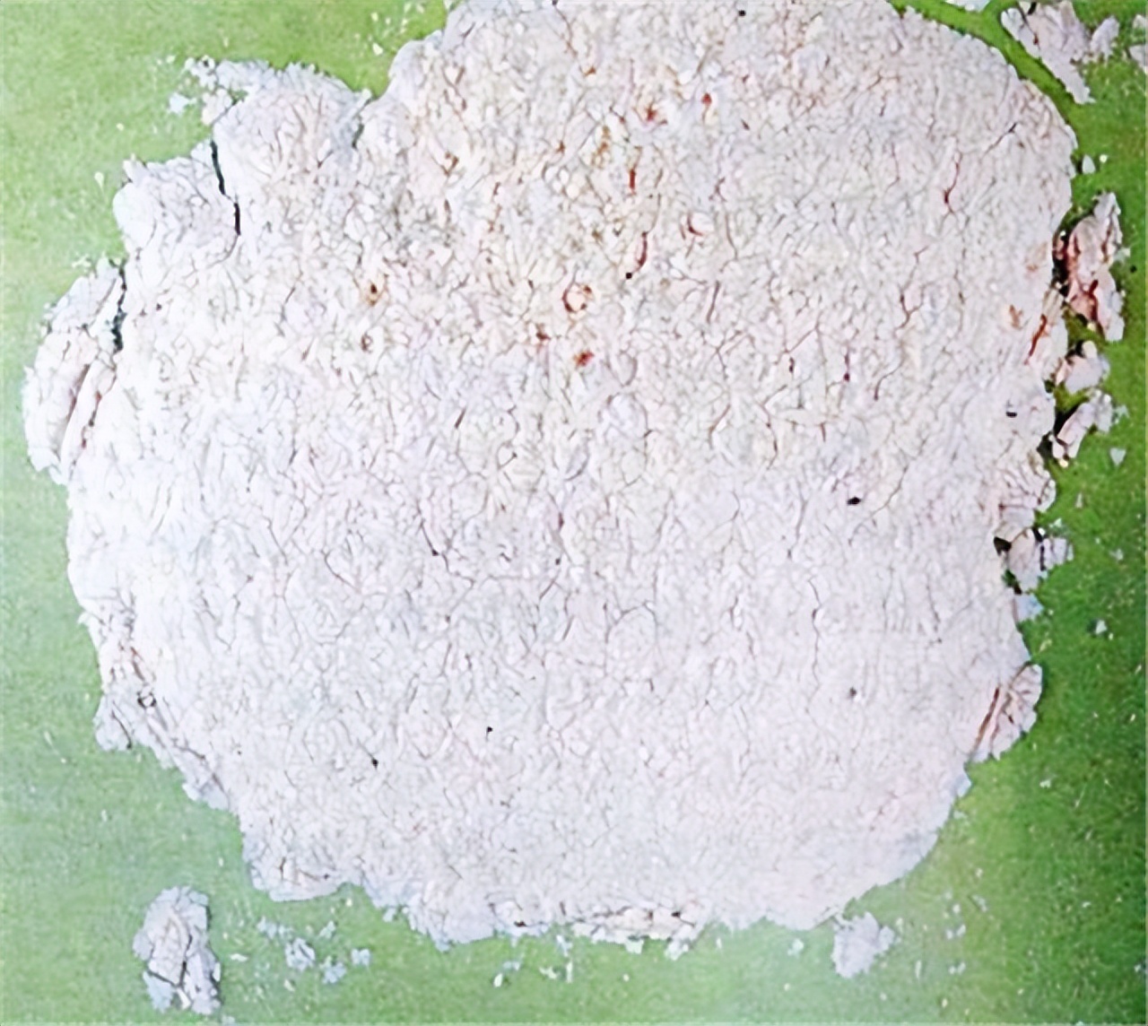 为什么剧毒鹤顶红没有了,鹤顶红为何被称为剧毒之王