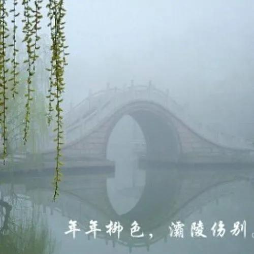 “柳枝”可不只代表“送别”，一文读懂所有“杨柳”文化