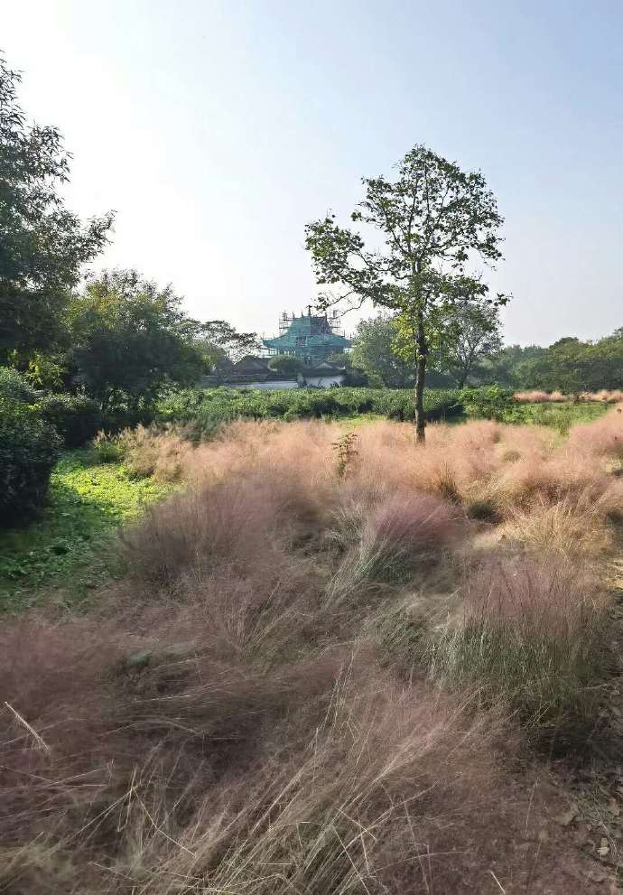 虞山风景区是虞山公园吗,常熟虞山公园旅游攻略图