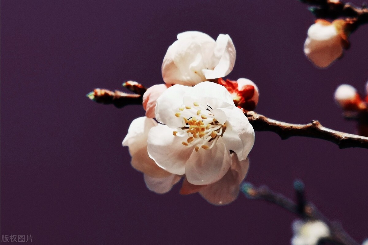 男人爱不爱一个女人，看她的“穿着”便知