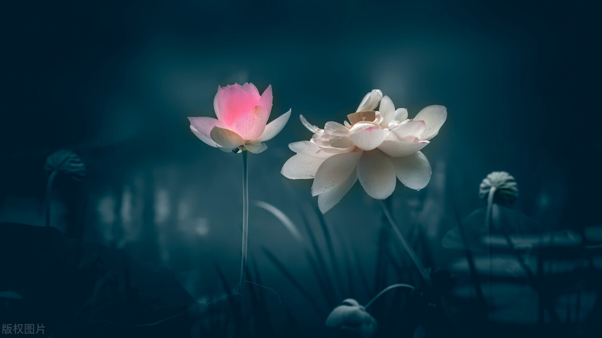 中考150个文言实词易错题,中考文言实词