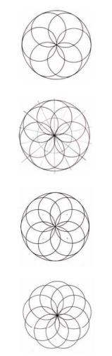 几何之花2：圆的内部分裂