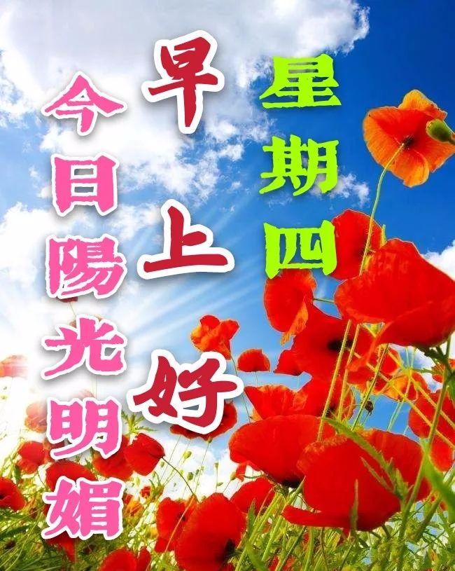 早晨问安,早晨问安的暖心短文