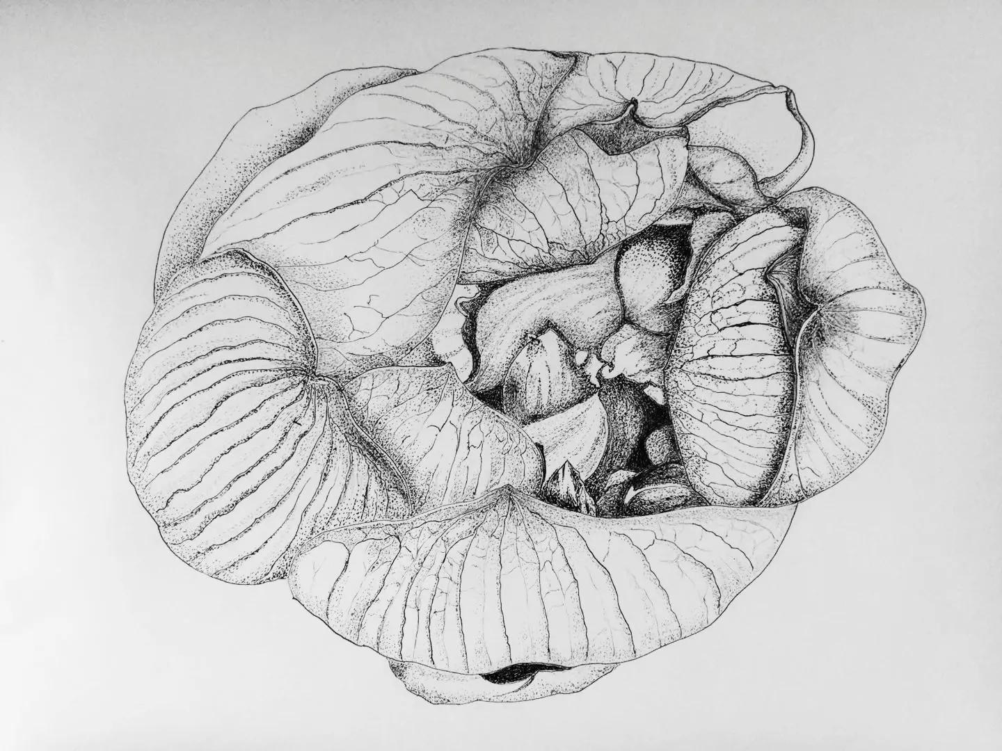 幸福原创画吧,幸福画吧画友作品